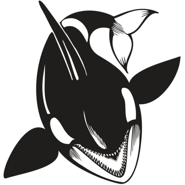 BAW KLRWHALE 01 RC Thumbnail