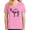 Ladies Core Cotton V Neck Tee Thumbnail