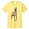 Best Selling Youth Cotton Tee Thumbnail