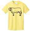 Best Selling Youth Cotton Tee Thumbnail