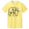 Best Selling Youth Cotton Tee Thumbnail
