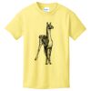 Best Selling Youth Cotton Tee Thumbnail