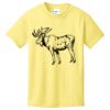 Best Selling Youth Cotton Tee Thumbnail